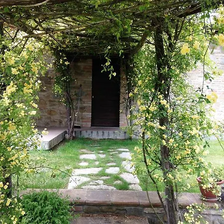 Apartment Nella Quiete Del Verde Panicale