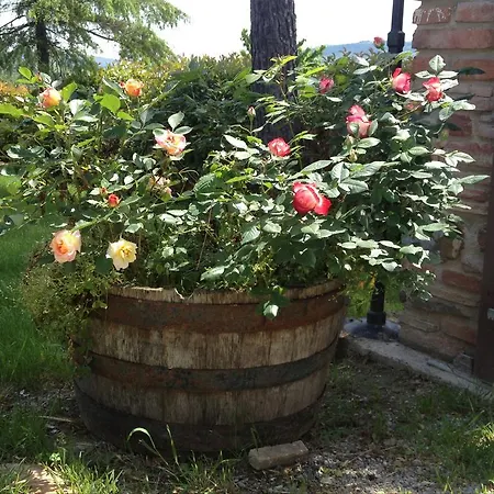Nella Quiete Del Verde * Panicale