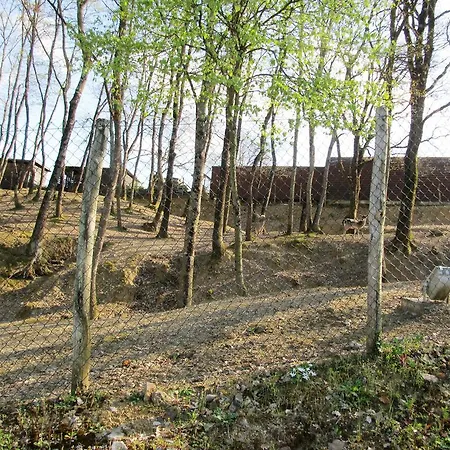 Nella Quiete Del Verde Apartment