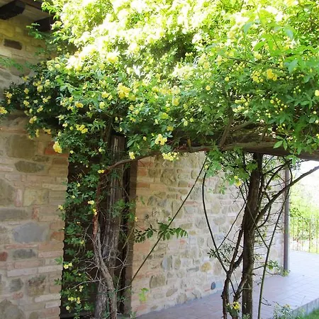 Nella Quiete Del Verde * Panicale